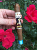 Regina Cigars Honduran Collection - "Vita Consecrata" Corojo Especial Wrapper